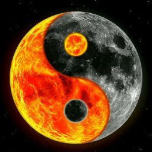 Meet your Posher, The